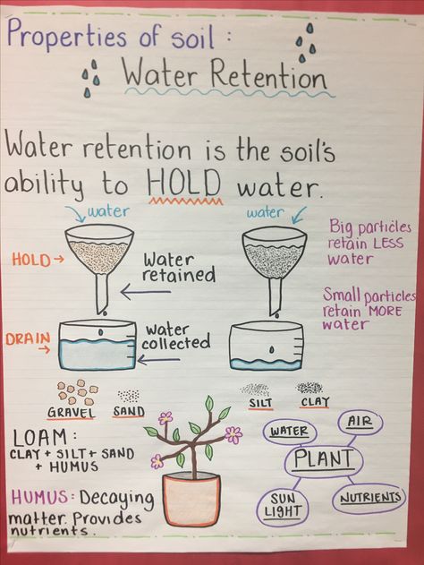 Soil Water Retention Activity, Types Of Soil Anchor Chart, Soil Anchor Chart, Soil Activities For Kids, Soil Worksheet, Soil Activities, Worksheet Design, Solids Liquids And Gases, Soil Science