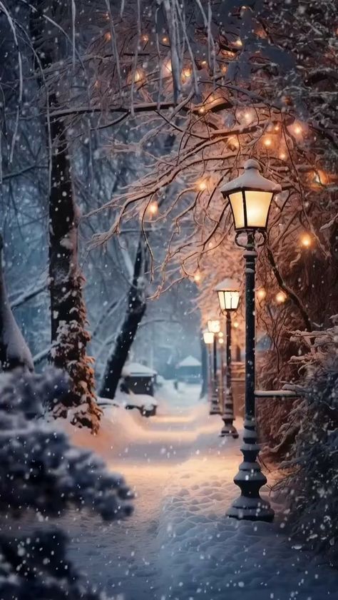 Winter Scenes Wonderland, Beautiful Winter Pictures, Beautiful Winter Scenes, Lamp Posts, Atmosphere Lamp, Christmas Scenery, Winter Szenen, Christmas Phone Wallpaper, Winter Photos