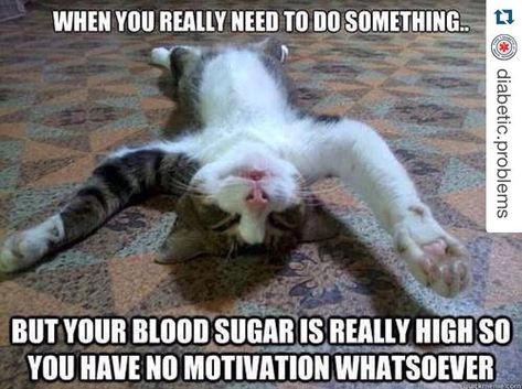 Hahahahahaha yep ain't this the truth! I love these cute lil diabetic memes! Makes the bad days of this junk a little brighter! #diabeticmemes #diabeticproblems #type1diabetes #t1d #t1diabetes #thestruggle @diabetic.problems  by debbiesimp76 Funny Motivational Memes, Sore After Workout, Friday Funday, Motivational Memes, Workout Memes, After Workout, Gym Memes, Gym Humor, They Said