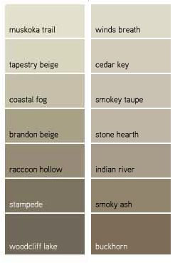 Indian River Color Combinations Benjamin Moore - brandon beige 977 A timeless mid-tone that's serious but never stuffy, this grounding shade of taupe creates a good balance between color combinations. Description from pinterest.com. I searched for this on bing.com/images Paint Board, Interior Paint Colors Schemes, Taupe Paint, Bathroom Paint Colors, Paint Colors Benjamin Moore, Benjamin Moore Paint, Exterior Paint Colors For House, Indian River, Interior Paint Colors