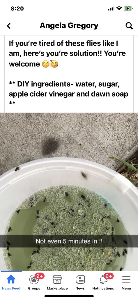 Homemade Fly Traps, Get Rid Of Flies, Random Tips, Natural Bug Repellent, Survival Skills Life Hacks, Diy Cleaning Hacks, Survival Life Hacks, Fly Traps, Bug Repellent