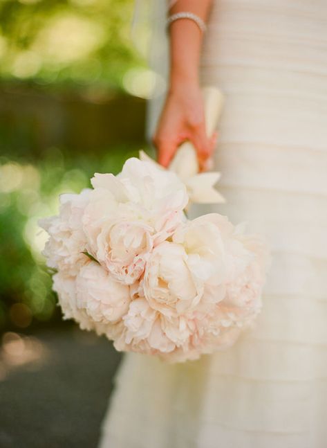 Peonies!! Blush Peony Bouquet, Blush Bouquet, Napa Valley Wedding, Peonies Bouquet, Pretty Wedding, Bride Bouquets, Blush Wedding, Bridal Flowers, Napa Valley