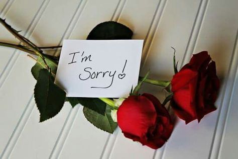 Roses to say, "I'm sorry." Sorry Message For Boyfriend, Sorry Messages For Girlfriend, Nicki Larson, Im Sorry Gifts, Sorry Images, Apologizing Quotes, Sorry Quotes, Tom Et Jerry, Sorry Gifts