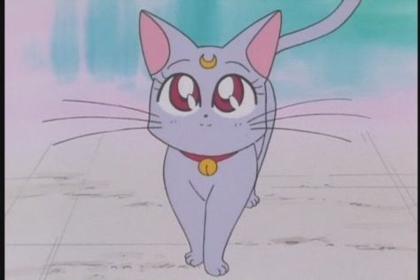 sailor moon diana Diana Sailor Moon, Sailor Moon Cat, Sailor Moon Screencaps, Luna And Artemis, Persona Anime, Sailor Moon Luna, Moon Cat, Moon Images, Sailor Moon Aesthetic