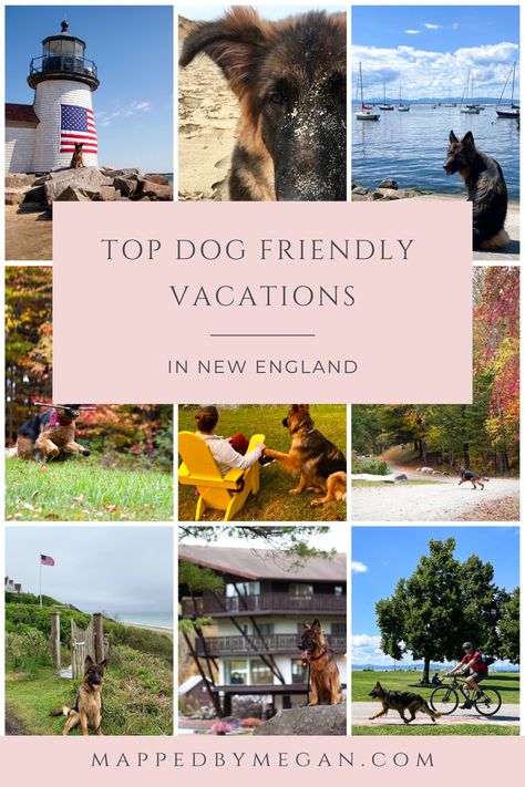 Dog Friendly New Hampshire, Best Dog Friendly Vacations, Dog Friendly Vacation East Coast, Dog Friendly New England, Dog Friendly Travel, Dog Friendly Vacation Spots, Dog Friendly Road Trip, Farm Vacation, Road Trip With Dog