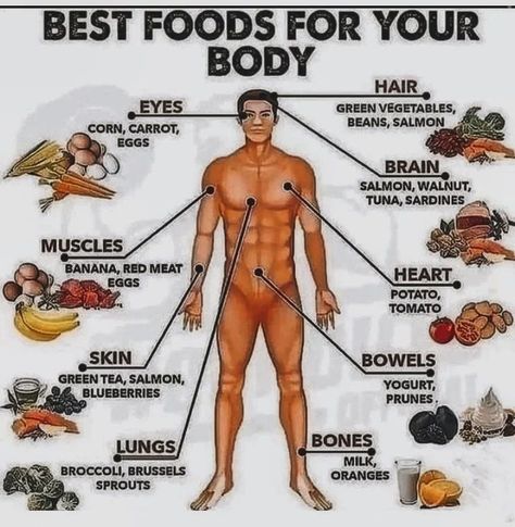 Best Food For Fitness #fitnessfood #fitness #fitnessmotivation #healthyfood #fitnesslifestyle #fitnesslife #healthylifestyle #fitnessgirl #fit #fitnessaddict #fitnessjourney #healthy #gym #fitnessmodel #fitnessfreak #fitnessgoals #fitfood #food #bodybuilding #workout #foodporn #fitnessgear #fitfam #instafood #nutrition #foodblogger #protein #gymlife #eatclean #motivation Food For Fitness, Bodybuilding Workout, Green Vegetables, Red Meat, Best Food, Fitness Lifestyle, Workout Gear, Fitness Journey, Best Foods