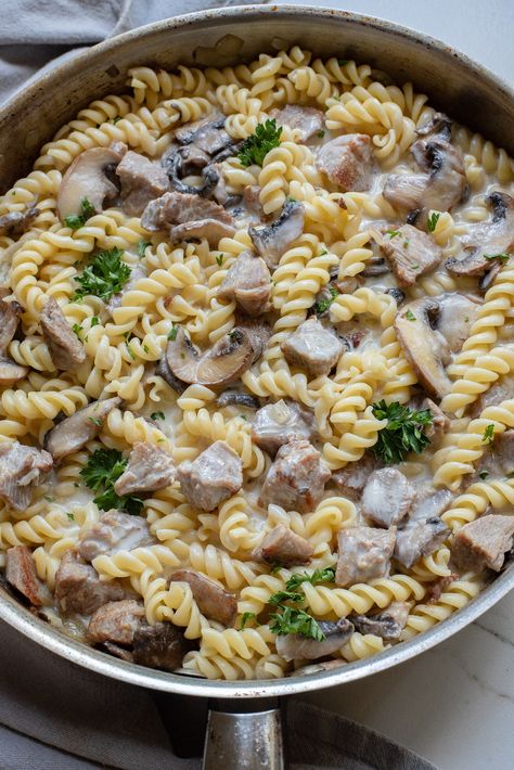 Turkey Stroganoff Recipe, Turkey Stroganoff, Dash Recipe, Pan Dishes, Turkey Pasta, Holiday Leftovers, Fusilli Pasta, Leftover Turkey Recipes, Stroganoff Recipe