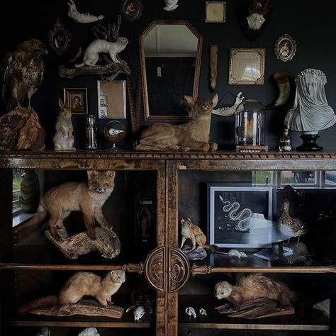 @grevholm • Instagram photos and videos Oddities Decor Bedroom, Macabre Home Decor, Gothic Art Studio, Kirk Langstrom, Skull Decor Diy, Dark Cottagecore Bedroom, Bunny Mirror, China Room, Dark Cottagecore House