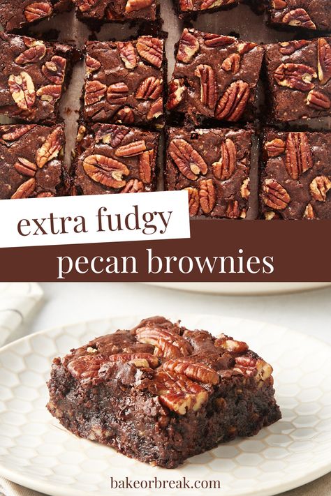 Pecan Lovers' Brownies are the ultimate nutty brownie. Just one bite of these fudgy, nutty brownies, and you'll never want a plain brownie again! Brownie With Nuts Recipes, Nutty Brownies, Brownies With Pecans, Pecan Brownies Recipe, Hot Fudge Pie, Chewy Brownies Recipe, Pecan Brownies, Moist Brownies, Fudge Brownie Recipe