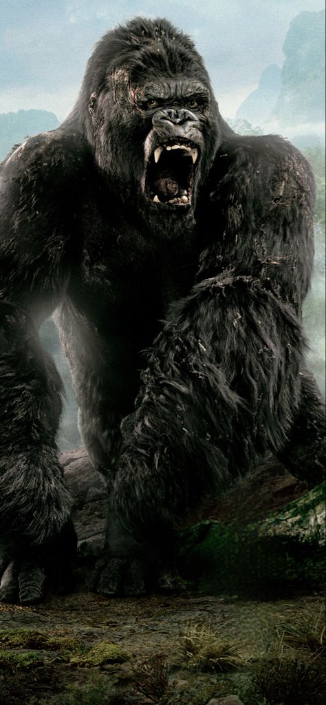 King Kong Image, Kong Wallpaper, Gorilla Wallpaper, King Kong 2005, King Kong Skull Island, King Kong Art, Gorillas Art, Kong Godzilla, King Kong Vs Godzilla