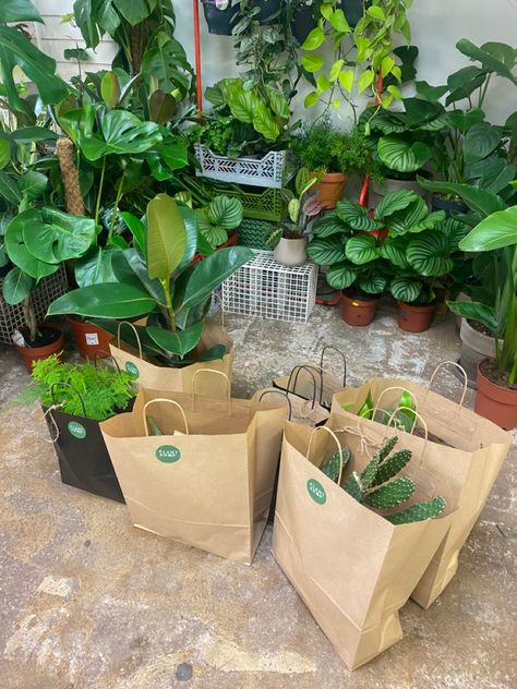 We deliver plants to your home, Manchester postcodes. Plant Packaging, Plant Business, Plant Shopping, Shopping Bag Design, Wholesale Plants, Plant Shop, Greater Manchester, Garden Shop, Plant Nursery