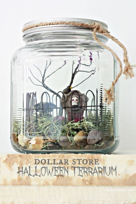 Dollar Store Halloween Terrarium Halloween Terrarium, Halloween Cloche, Fairy Life, Halloween Fairy Garden, Diy Halloween Party, Halloween School Treats, Halloween Party Decor Diy, Dollar Store Halloween, Halloween Fairy