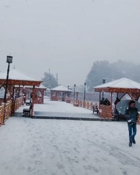 Recently Fresh snowfall in kashmir valley.. . . . #kashmir #jhelum #river#bridge#srinagar #snowfall #luv#nature #beauty #beautiful #winter.… Srinagar Kashmir Photography, Kashmir Photography, Kashmir Photos, Srinagar Kashmir, Fresh Snowfall, Kashmir Valley, Photography Snow, River Bridge, Srinagar