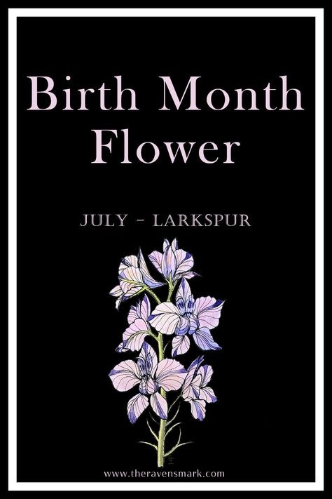 July Birth Month Flower - Larkspur Larkspur Flower Aesthetic, July Birth Month, Traditional Flowers, Larkspur Flower, Protection From Evil, 21 July, Month Of July, Flower Meanings, Powerful Energy