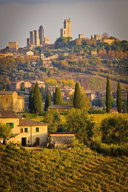 Old Town ♦ San Gimignano, Tuscany, Italy. Toscana Italia, Under The Tuscan Sun, Amazing Places On Earth, Places In Italy, Breathtaking Places, San Gimignano, Voyage Europe, Tuscany Italy, Lake District