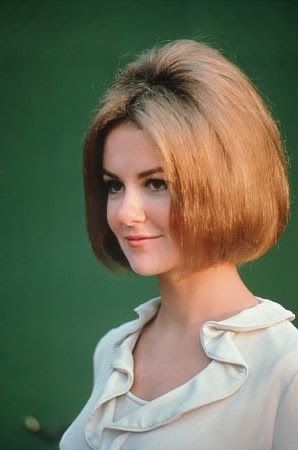 Shelley Fabares in vintage teased-crown bob Shelley Fabares 1960s, Shelly Fabares, Shelley Fabares, Elvis Presley Films, Celebrities Hair, The Donna Reed Show, Portraits Female, 1970s Toys, Sally Field