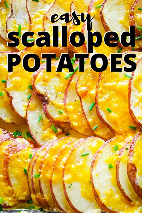 Cheese Red Potatoes, Scalloped Red Potatoes Cheesy, Red Skin Scalloped Potatoes, Red Potato Side Dish, Potato Recipes Red Potatoes, Red Potato Scalloped Potatoes, Red Potatoes Side Dish, Sliced Red Potato Recipes, Ideas For Red Potatoes