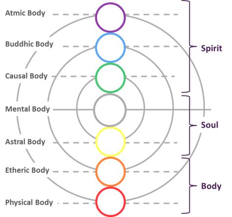 Subtle Bodies, Chakra Health, Etheric Body, Cool Science Facts, Reiki Symbols, Energy Healing Reiki, Reiki Meditation, Spirit Science, Christian Theology