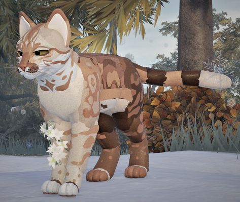 Cute Warrior Cat Oc, K Line Fursuit, Wcue Oc Design, Roblox Warrior Cats Morphs, Warrior Cats Morphs Ideas, Warrior Cat Ultimate Edition Oc, Warrior Cat Roblox Oc, Warrior Cats Oc Design Roblox Ideas, Wcue Oc Idea