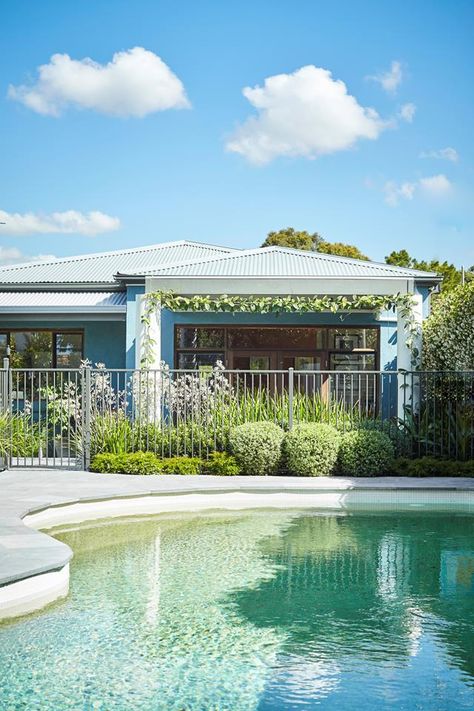 Pool Entertaining, Inground Pool Landscaping, Urban Backyard, Australian Native Garden, Sustainable Building, Kangaroo Paw, Pool Installation, Pool Fence, Diy Pool