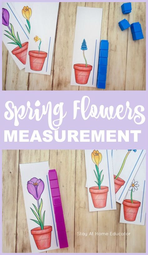 A hands on flower themed measurement printable for preschoolers. This is fantastic for math centers or small group work in the Spring for preschoolers. Free spring theme printable for preschoolers. Teach measurement in preschool with free printable flower height measurement cards. Perfect for gardening theme, flowers theme, or insect theme. Flower Art For Preschool, Spring For Preschoolers, Kindergarten Spring Centers, Spring Math Centers Kindergarten, Gardening Preschool, Centers Organization, Centers Preschool, Spring Lesson Plans, April Preschool