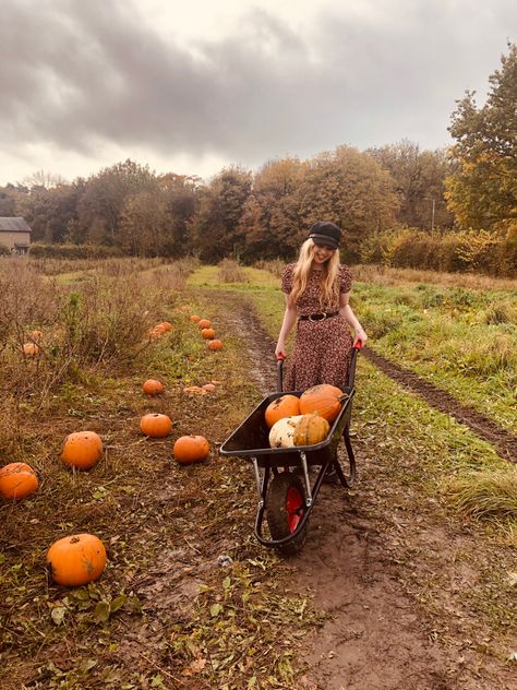 #pumpkin #fall #wheelbarrow #orange #autumn #autumnvibes #autumncolors #longdressfashion #docmartensstyle Pumpkin Walk, Mermaid Ideas, Doc Martens Style, Orange Autumn, Autumn Orange, Fall Mood Board, Pumpkin Picking, Pumpkin Sign, Pumpkin Fall