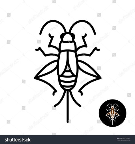 Cricket Animal, Cricket Vector, Cricket Bug, Bug Drawing, Cricket Insect, Bat Vector, Insect Clipart, Animal Anime, Graphic Design Portfolio Cover