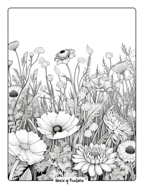 Printable Coloring Pages For Adults Simple, Flower Coloring Pages Free Printable, Flower Colouring Pages, Flower Coloring Pages For Kids, Poppy Coloring Page, Flower Coloring Sheets, Sunflower Coloring Pages, Printable Flower Coloring Pages, Garden Coloring Pages