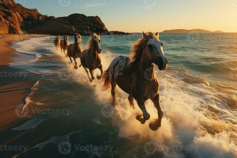 Horses Running On The Beach, Horses Running, Beach At Sunset, Running On The Beach, Draw On Photos, Beautiful Horses, The Sea, The Beach, Royalty Free Stock Photos