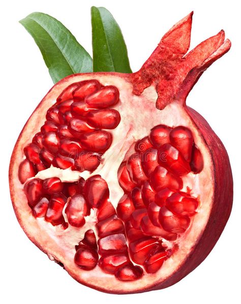 Buah Delima, Pomegranate Watercolor, Fruit Art Drawings, Fruits Decoration, Pomegranate Art, Fruits Drawing, Pomegranate Fruit, Watercolor Fruit, Fruit Illustration