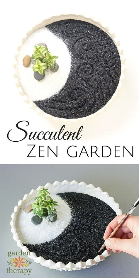 How to Make a Therapeutic Succulent Zen Garden Backyard Zen Garden Ideas, Mini Jardin Zen, Mini Zen Garden, Zen Garden Design, Growing Plants Indoors, Mini Succulents, Terrarium Plants, Cactus Y Suculentas, Succulents Diy