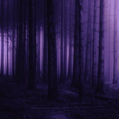 Ken Ichijouji, Lost In The Forest, Purple Goth, Halloween Wallpaper Iphone Backgrounds, Scared Of The Dark, Purple Gothic, Violet Aesthetic, Lavender Aesthetic, Dark Purple Aesthetic