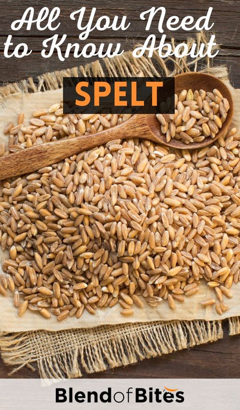 Spelt Grain Recipes, Spelt Flour Bread Recipes, Spelt Recipes Grains, Spelt Flour Benefits Health, Sourdough Starter With Spelt Flour, Spelt Berries Recipes, Spelt Flour Sourdough Bread, Fresh Milled Spelt Recipes, Spelt Berry Recipes