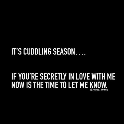 Lmao, cuddling season Circus Quotes, Cuddle Quotes, Deep Quotes That Make You Think, Season Quotes, Facebook Quotes, Cute Couple Quotes, Timeline Photos, Bones Funny, Funny Posts