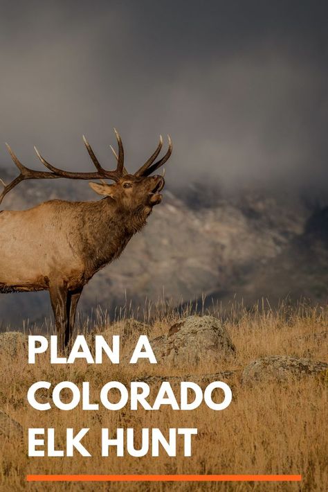 Hunting Gear List, Elk Hunting Colorado, Archery Elk Hunting, Elk Hunting Tips, Colorado Hunting, Youth Hunting, Western Hunting, Hunting Videos, Hunting Tattoos