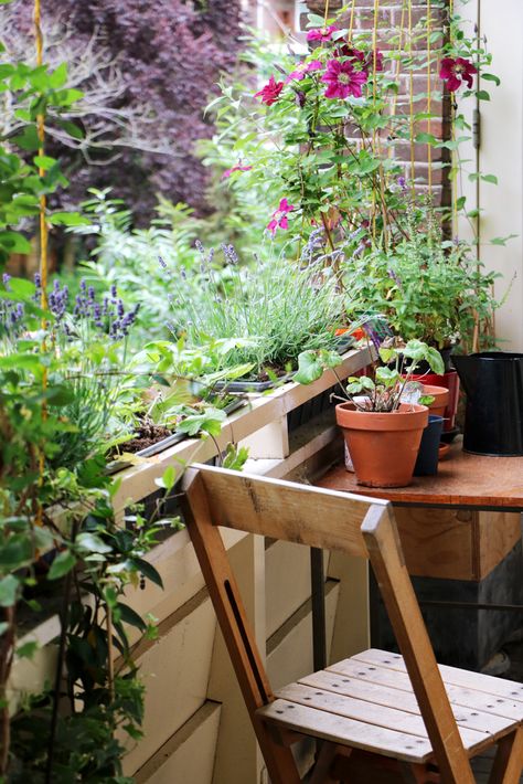 binnenkijker hometour Urban Gardening Balkon, Jungle Balcony, Tiny Balcony Garden, Urban Garden Ideas, Balcony Hanging Plants, Urban Gardening Balcony, Green Balcony, Small Garden Inspiration, Small House Garden