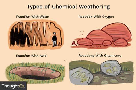 4 Ways That Chemical Weathering Changes Rock Chemical Weathering Of Rocks, Weathering With You Drawing Pencil, Biological Weathering, Mechanical Weathering, Physical Weathering, Chemical Weathering, Earth Layers, Weathering And Erosion, Study Biology