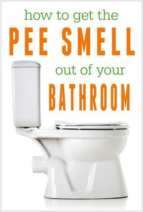 9 ways to get the pee smell out of your bathroom Clean Hacks, Pee Smell, Clean Baking Pans, Deep Cleaning Tips, Household Cleaning Tips, Diy Cleaners, Cleaning Recipes, Cleaners Homemade, Clean Dishwasher