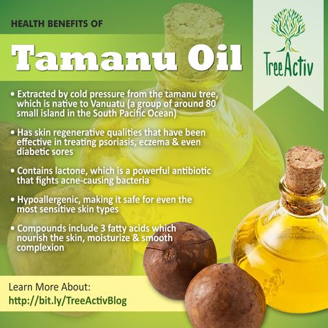 Tamanu Oil Health Benefits Living Holistically, Tamanu Oil Benefits, Tomato Nutrition, Calendula Benefits, Matcha Benefits, Lemon Benefits, Tamanu Oil, Coconut Health Benefits, Oil Remedies