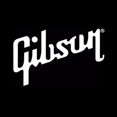 Gibson on Twitter: "What could be better than the legendary ES-335? The ES-355! #gibson #gibsoncustom #theoriginal… " Guitar Logo, Gibson Guitar, Typo Logo, Portfolio Logo, Gibson Guitars, Music Logo, Band Logos, Best Logo Design, Music City