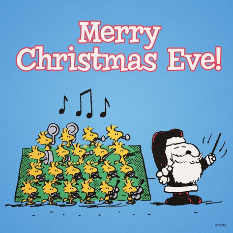 Merry Christmas Eve! Christmas Eve Meme, Christmas Eve Quotes, Peanuts Gang Christmas, Christmas Quotes For Friends, Happy Christmas Eve, Merry Christmas Eve, Snoopy Quotes, Peanuts Christmas, Snoopy Pictures