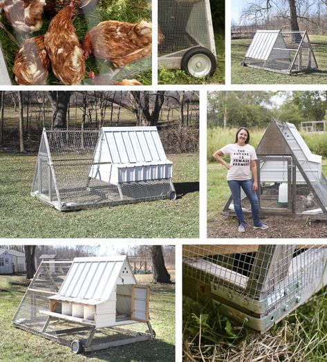 Raising Chickens For Beginners, Chook House, Chickens For Beginners, Chook Pen, A Frame Chicken Coop, Portable Chicken Coop, Backyard Chicken Coop Plans, Chicken Tractors, Chicken Owner