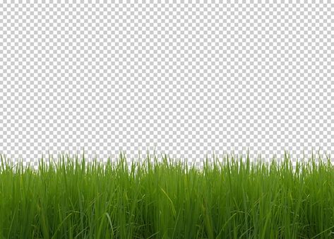 Grass Transparent Background, Baekhyun, Graphic Resources, Transparent Background, Herbs, Football, Flowers, Quick Saves, American Football