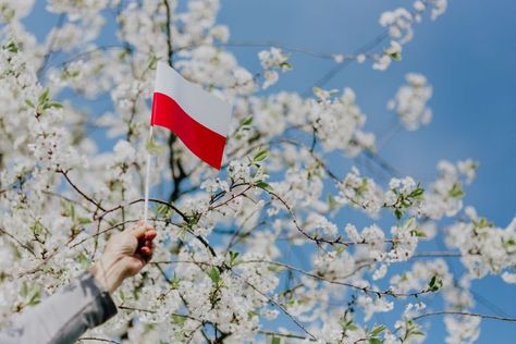 Flag of Poland - Polska Flaga 1 Maja, Polish Flag, Poland Flag, Polish Girl, All Images, European Travel, Polish Girls, Free Stock Photos, Stock Images Free