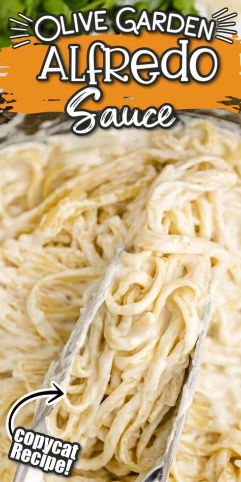 Olive Garden Fettuccine Alfredo, Olive Garden Fettuccine, Olive Garden Chicken Alfredo Recipe, Copycat Olive Garden Alfredo Sauce, The Best Alfredo Sauce, Best Alfredo Sauce, Best Alfredo, Fettuccine Alfredo Sauce, Copycat Olive Garden Alfredo