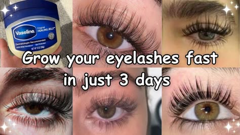 How To Grow Longer Eyelashes Naturally, Eyelash Longer Naturally, Bigger Eyelashes Naturally, How To Make Lashes Grow Fast, How To Grow Long Eyelashes, How To Long Eyelashes, Grow Eyelashes Fast, How To Grow Long Lashes Naturally, How To Grow Lashes Fast At Home