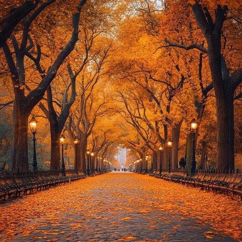 Wallpaper Horizontal, Fall Scenes, Autumn Scenery, Aesthetic Pics, City Landscape, Autumn Vibes, Photography Camera, Fall Decorating, Autumn Aesthetic