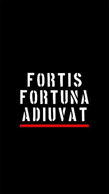 Bike Stickers Design Ideas, Fortis Fortuna Adiuvat, One Piece Bounties, Latin Quotes, Galaxy Wallpaper Iphone, Technology Wallpaper, Simple Photo, Take Risks, The Goddess