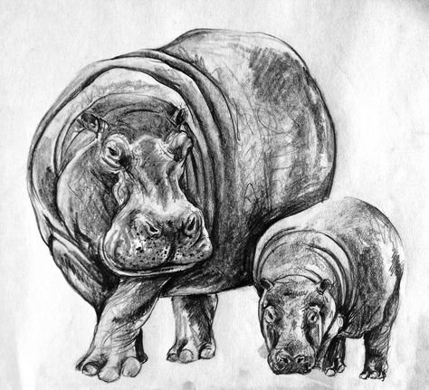 Mama hippo and calf Hippopotamus Tattoo, Hippo Sketch, Vintage Zoology, Hippo Tattoo, Hippo Pictures, Hippo Drawing, Hippo Art, Textile Embroidery, Dancing Drawings