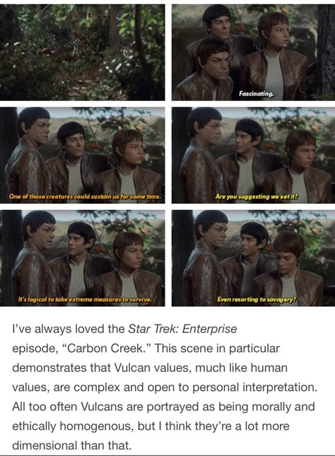 Star Trek Vulcan, Vulcan Star Trek, Dark Picture, Stark Trek, Star Treck, Human Values, Star Wars Jokes, Crazy Fans, Star Trek Enterprise